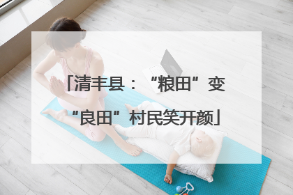 清丰县：“粮田”变“良田”村民笑开颜