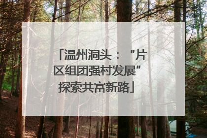 温州洞头：“片区组团强村发展”探索共富新路