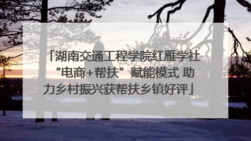 湖南交通工程学院红雁学社“电商+帮扶”赋能模式 助力乡村振兴获帮扶乡镇好评