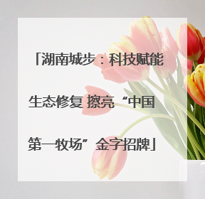 湖南城步：科技赋能生态修复 擦亮“中国第一牧场”金字招牌