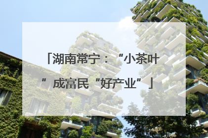 湖南常宁：“小茶叶”成富民“好产业”