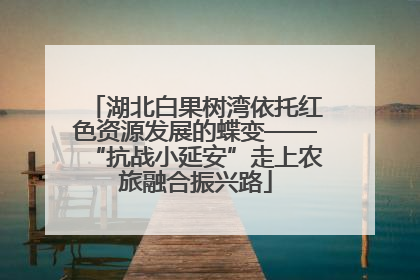 湖北白果树湾依托红色资源发展的蝶变——“抗战小延安”走上农旅融合振兴路