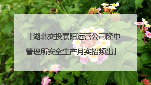 湖北交投襄阳运营公司隆中管理所安全生产月实招频出