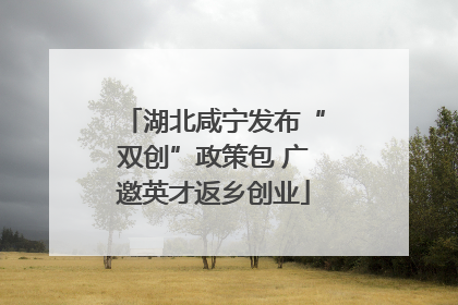 湖北咸宁发布“双创”政策包 广邀英才返乡创业