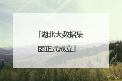 湖北大数据集团正式成立