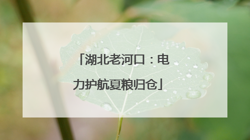 湖北老河口：电力护航夏粮归仓