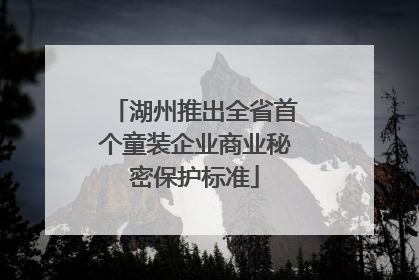 湖州推出全省首个童装企业商业秘密保护标准