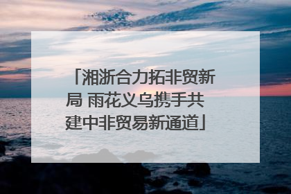 湘浙合力拓非贸新局 雨花义乌携手共建中非贸易新通道