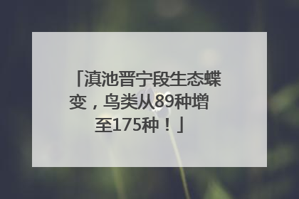 滇池晋宁段生态蝶变，鸟类从89种增至175种！