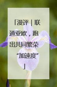 漫评｜联通亚欧，跑出共同繁荣“加速度”