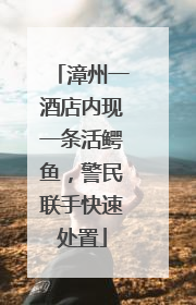 漳州一酒店内现一条活鳄鱼，警民联手快速处置