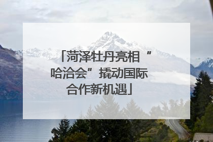 菏泽牡丹亮相“哈洽会”撬动国际合作新机遇