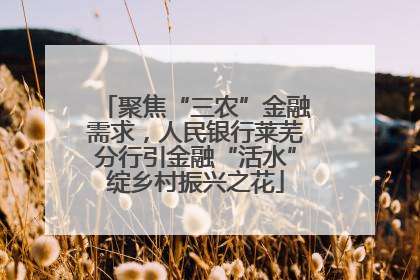 聚焦“三农”金融需求，人民银行莱芜分行引金融“活水”绽乡村振兴之花