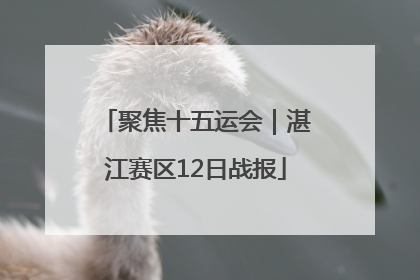 聚焦十五运会｜湛江赛区12日战报