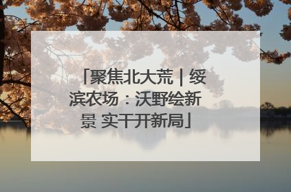 聚焦北大荒｜绥滨农场：沃野绘新景 实干开新局