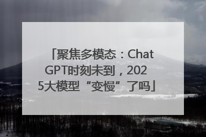 聚焦多模态：ChatGPT时刻未到，2025大模型“变慢”了吗