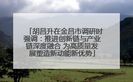 胡昌升在金昌市调研时强调：推进创新链与产业链深度融合 为高质量发展塑造新动能新优势