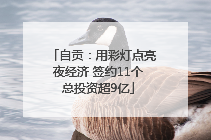 自贡：用彩灯点亮夜经济 签约11个总投资超9亿