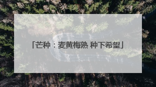 芒种：麦黄梅熟 种下希望