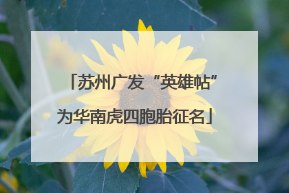 苏州广发“英雄帖”为华南虎四胞胎征名