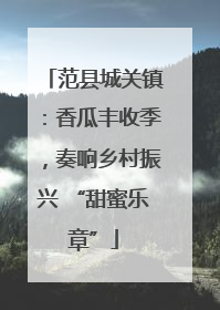 范县城关镇：香瓜丰收季，奏响乡村振兴 “甜蜜乐章”