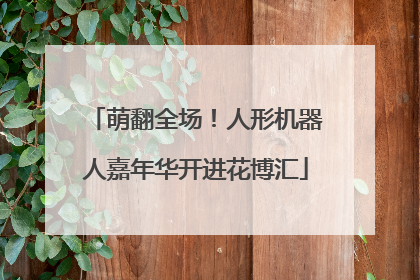 萌翻全场！人形机器人嘉年华开进花博汇