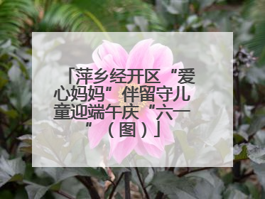 萍乡经开区“爱心妈妈”伴留守儿童迎端午庆“六一”（图）