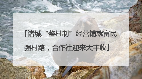 诸城“整村制”经营铺就富民强村路，合作社迎来大丰收
