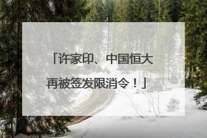 许家印、中国恒大再被签发限消令！