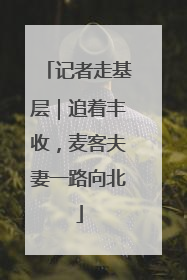记者走基层｜追着丰收，麦客夫妻一路向北