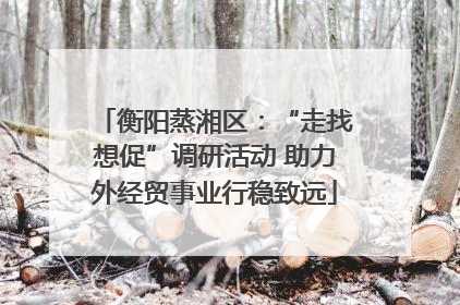 衡阳蒸湘区：“走找想促”调研活动 助力外经贸事业行稳致远
