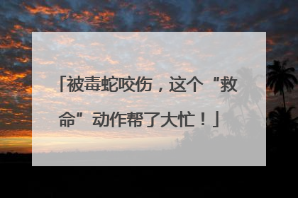 被毒蛇咬伤，这个“救命”动作帮了大忙！
