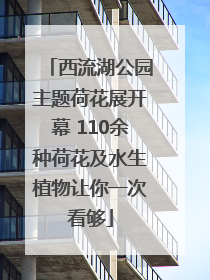 西流湖公园主题荷花展开幕 110余种荷花及水生植物让你一次看够