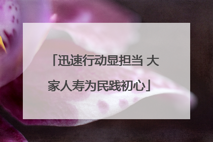 迅速行动显担当 大家人寿为民践初心