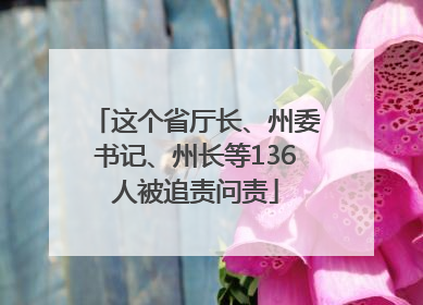这个省厅长、州委书记、州长等136人被追责问责