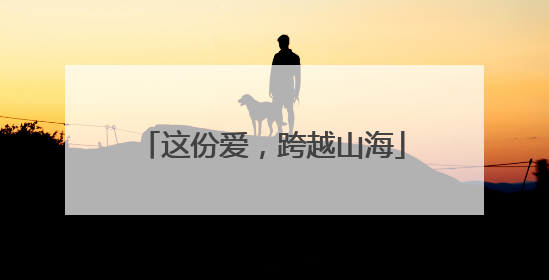 这份爱，跨越山海