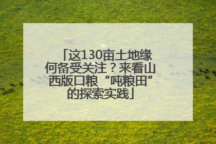 这130亩土地缘何备受关注？来看山西版口粮“吨粮田”的探索实践