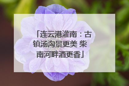 连云港灌南：古镇汤沟景更美 柴南河畔酒更香