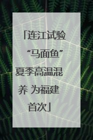 连江试验“马面鱼”夏季高温混养 为福建首次