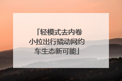 轻模式去内卷 小拉出行撬动网约车生态新可能