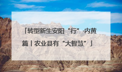 转型新生安阳“行”·内黄篇丨农业县有“大智慧”