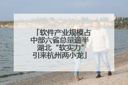 软件产业规模占中部六省总量逾半 湖北“软实力”引来杭州两小龙