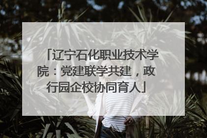 辽宁石化职业技术学院：党建联学共建，政行园企校协同育人