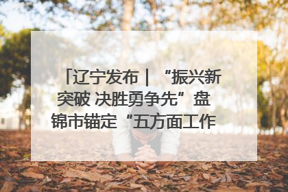 辽宁发布｜“振兴新突破 决胜勇争先”盘锦市锚定“五方面工作”力争全年地区生产总值增长5.5%左右