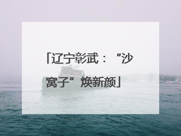 辽宁彰武：“沙窝子”焕新颜