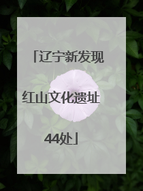 辽宁新发现红山文化遗址44处