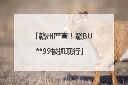 赣州严查！赣BU**99被抓现行