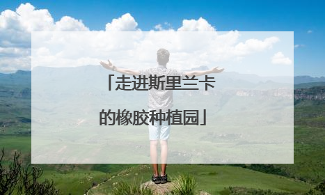走进斯里兰卡的橡胶种植园