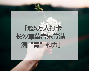 超5万人打卡 长沙草莓音乐节满满“青”和力