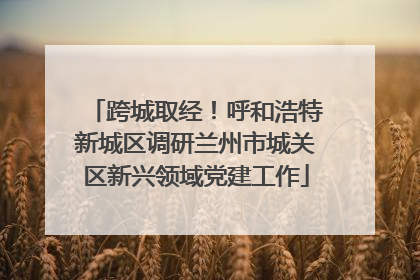 跨城取经！呼和浩特新城区调研兰州市城关区新兴领域党建工作
